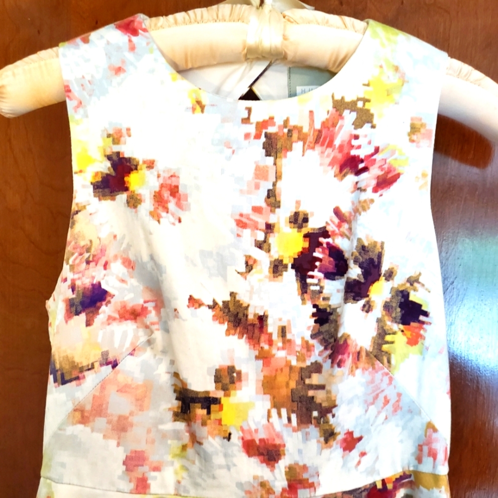 EC Hunter Bell Floral Dress Size 0P